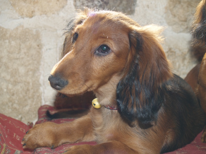 Esther Du cap des embruns