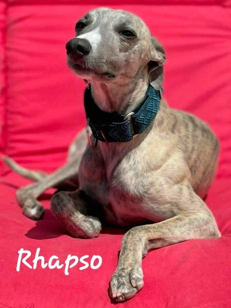 Rhapsody in blue Du cap des embruns