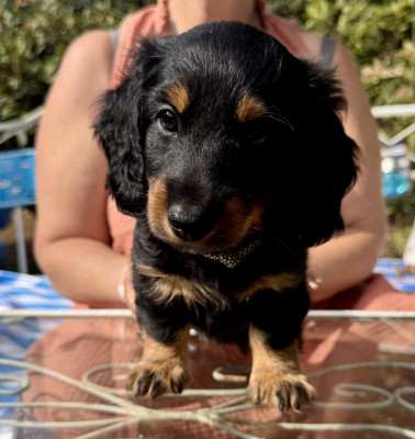 Booba